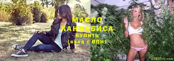 гашик Каменка