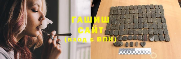 гашик Каменка
