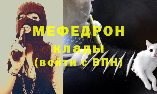 гашик Каменка