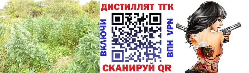 Дистиллят ТГК вейп с тгк  Купить закладки  Кондопога 
